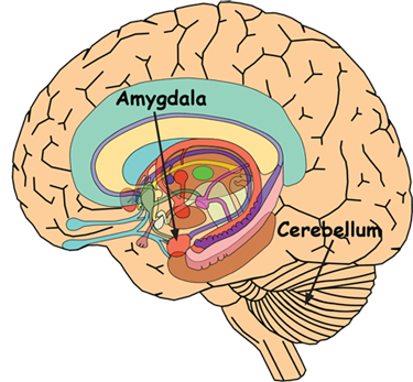 Implicit memória